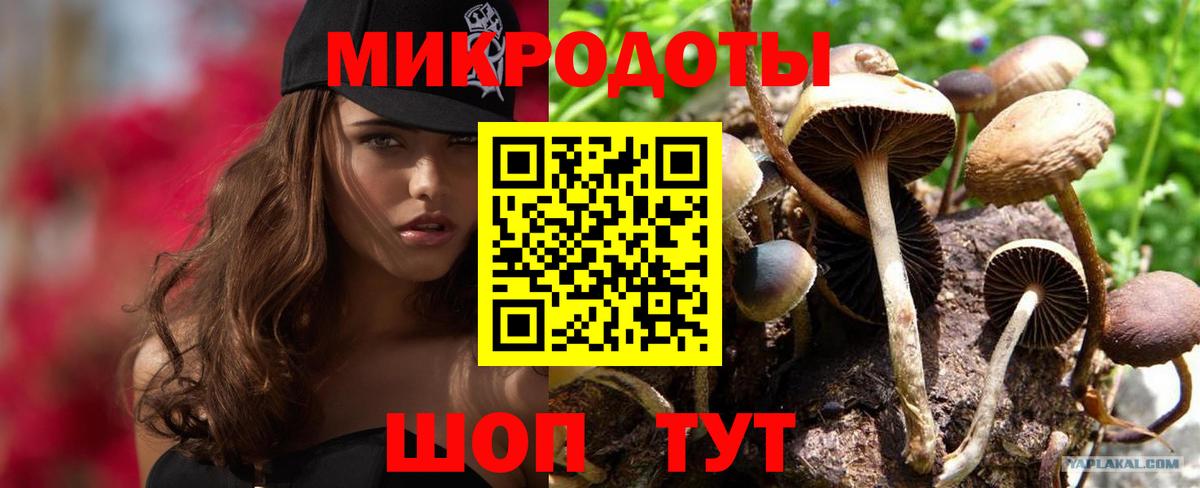 Зеленодольск  Галлюциногенные грибы Cubensis  Вход с VPN  Галлюциногенные грибы мухоморы 